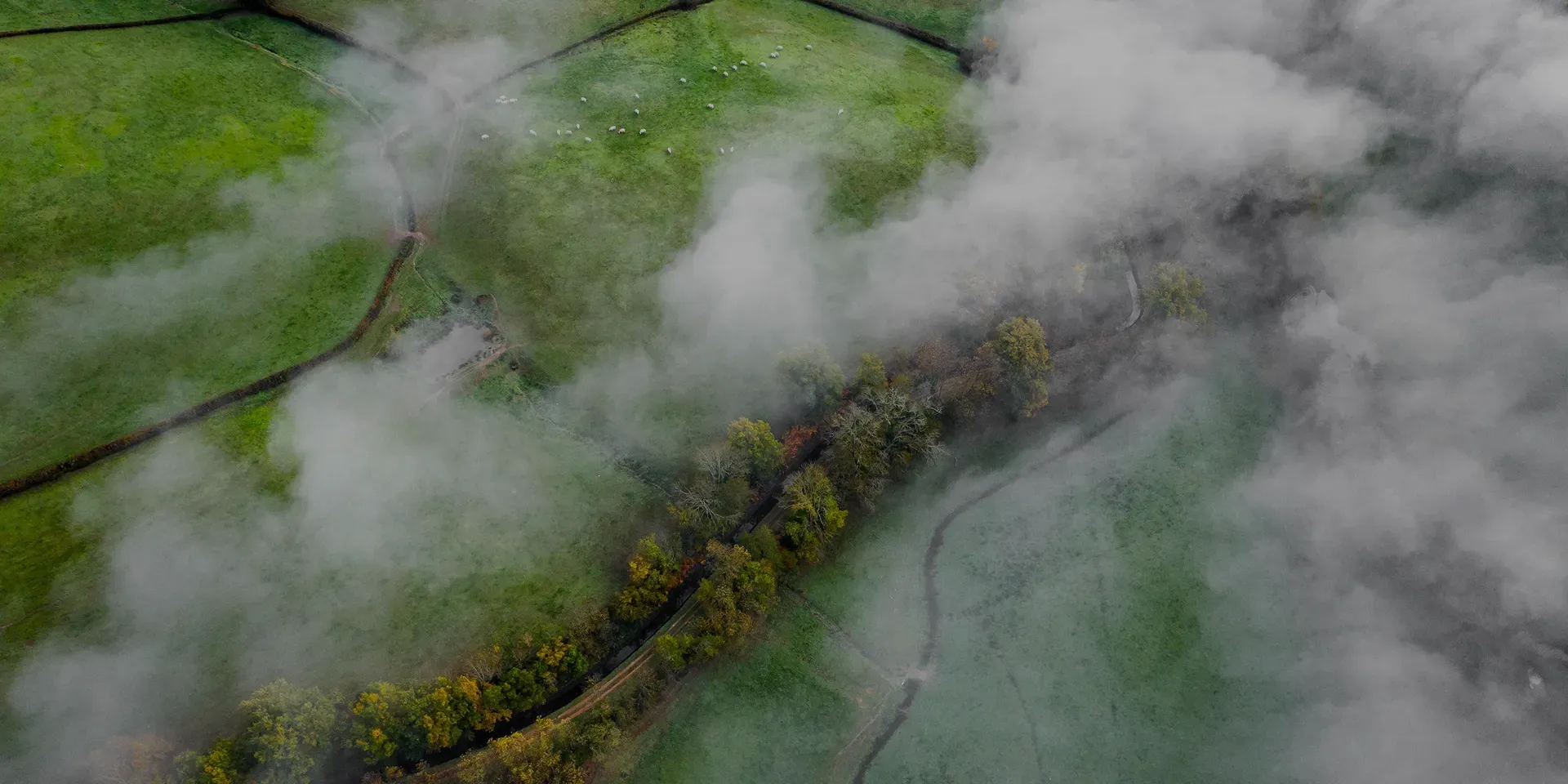 Landschaftsaufnahme aus der Vogelperspektive mit grünen Wiesen, Bäumen und Nebel